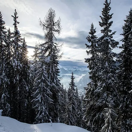 Wooden In Near The Aletsch Arena Betten