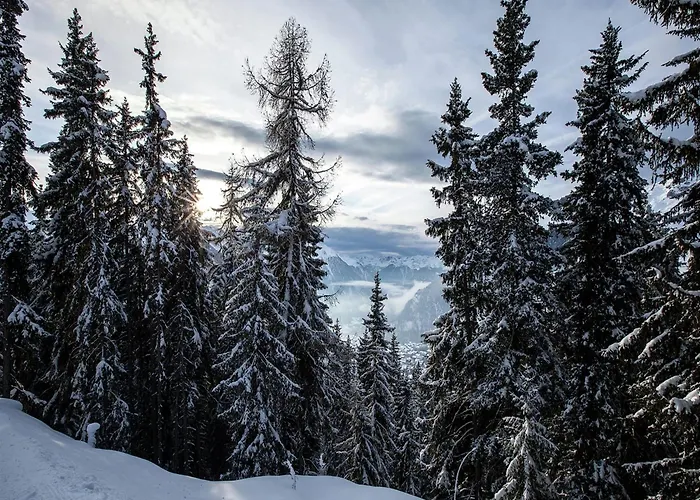 Wooden In Near The Aletsch Arena Betten